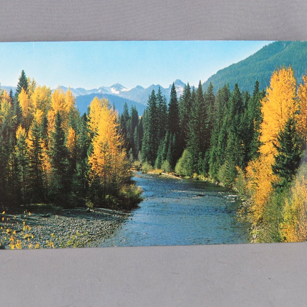 Vintage Postcard - Changing Colours Manning Park - Natural Color Productions